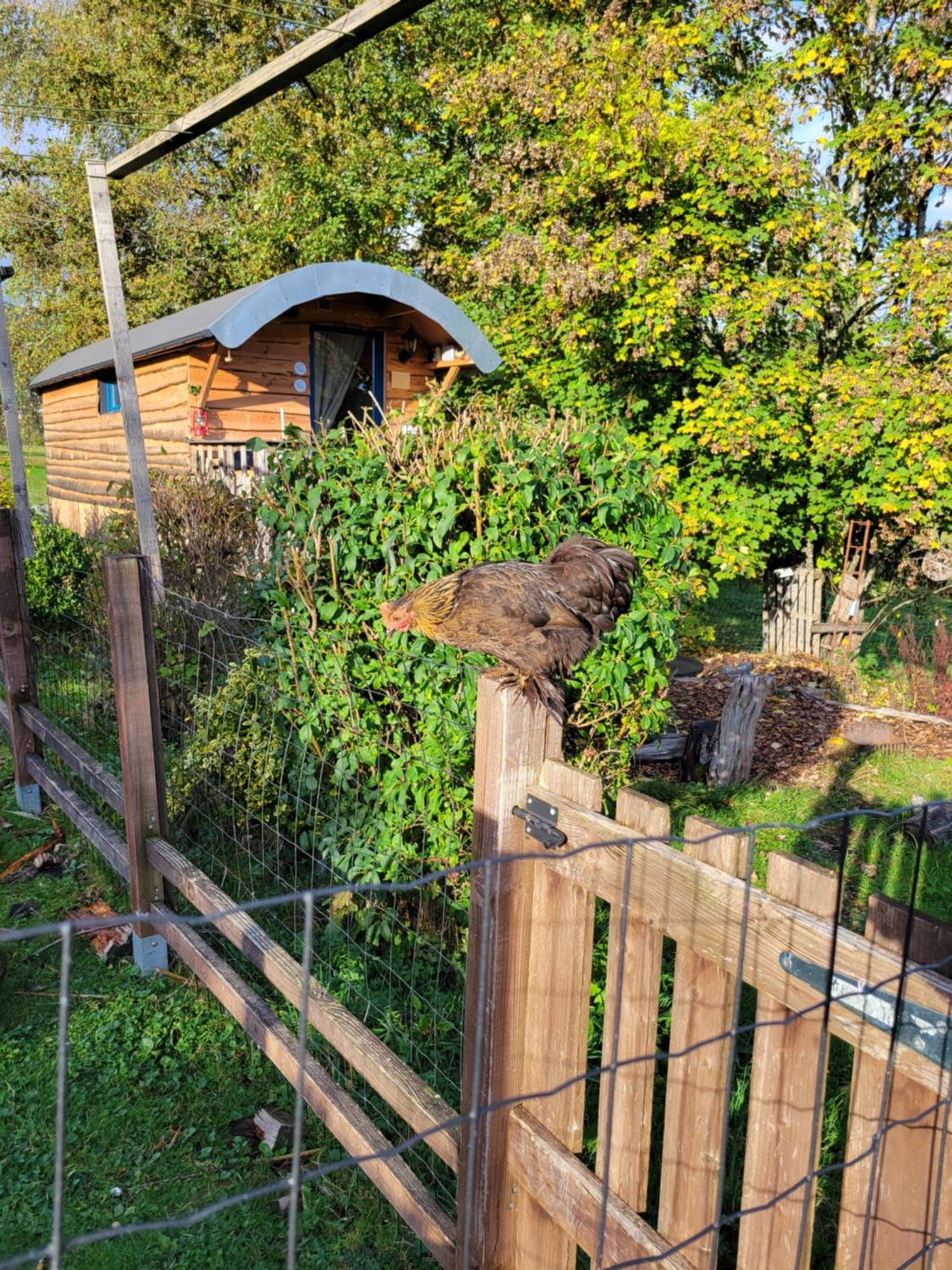 La Roulotte Tiny House Du Mond'Ideal Leval  Værelse billede